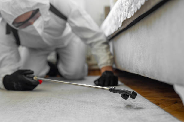 Professional Pest Control technician working in Morgan County County, MO